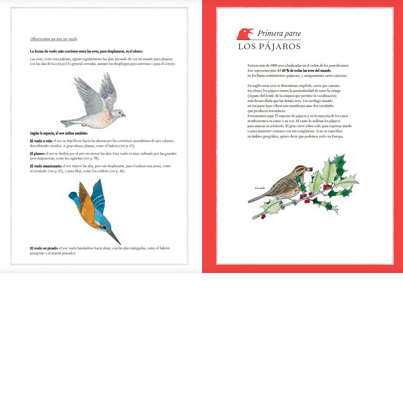 Inventario Ilustrado de Aves Inventario Ilustrado de Aves